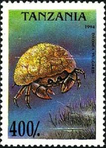 Colnect-5545-159-Crab-Dromia-vulgaris.jpg