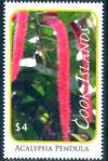 Colnect-4070-101-Acalypha-pendula.jpg