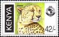 Colnect-4852-584-Acinonyx-jubatus.jpg