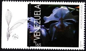 Colnect-2995-817-Acacallis-cyanea.jpg