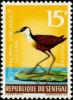 Colnect-1078-584-African-Jacana-Actophilornis-africanus---Male.jpg