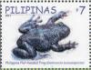 Colnect-2853-246-Philippine-Flat-headed-Frog-Barbourula-busuangensis.jpg