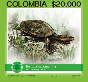 Colnect-2942-603-Dahl-rsquo-s-Toadhead-Turtle-Batrachemys-dahli.jpg