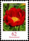 Colnect-5205-813-Paeonia-sp---Peony.jpg