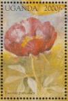 Colnect-6055-454-Paeonia-parnassica.jpg