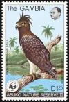 Colnect-1462-473-Long-crested-Eagle-Lophoaetus-occipitallis-.jpg