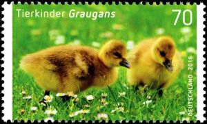 Colnect-5205-830-Greylag-goose-Anser-anser.jpg