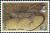 Colnect-5829-659-Southern-Tree-Agama-Acanthocercus-atricollis.jpg