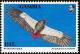 Colnect-1462-520-Bateleur-Eagle-Terathopius-ecaudatus.jpg