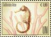 Colnect-5349-562-Zebra-seahorse-Hippocampus-zebra.jpg