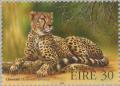 Colnect-129-535-Cheetah-Acinonyx-jubatus.jpg