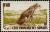 Colnect-805-850-Cheetah-Acinonyx-jubatus.jpg