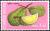 Colnect-5400-452-Thai-Fruits--Durian.jpg