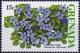Colnect-3885-653-Guaiacum-officinale.jpg