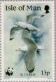 Colnect-124-740-Kittiwake-Rissa-tridactyla.jpg