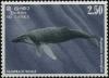 Colnect-1269-744-Humpback-Whale-Megaptera-novaeangliae.jpg