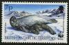 Colnect-1417-971-Weddell-Seal-Leptonychetes-weddelli.jpg