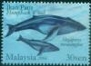 Colnect-2029-671-Humpback-Whale-Megaptera-novaeangliae.jpg