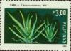 Colnect-2946-938-Aloe-barbadensis.jpg
