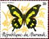 Colnect-3038-197-Emperor-Swallowtail-Papilio-hesperus.jpg