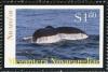 Colnect-4827-753-Humpback-Whale-Megaptera-novaeangliae.jpg