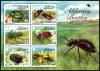 Colnect-5479-276-Alderney-Beetles.jpg