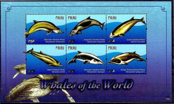Colnect-4950-836-Whales-of-the-world.jpg