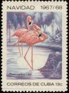 Colnect-2509-027-Caribbean-Flamingo-Phoenicopterus-ruber.jpg