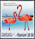 Colnect-3635-076-American-Flamingo-Phoenicopterus-ruber.jpg