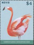 Colnect-4412-950-Caribbean-Flamingo-Phoenicopterus-ruber.jpg