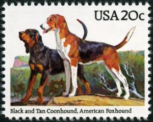 Colnect-5093-901-Black--Tan-Coonhound-American-Foxhound-Canis-lupus-famili.jpg