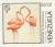 Colnect-1743-149-American-Flamingo-Phoenicopterus-ruber.jpg