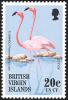 Colnect-3077-183-American-Flamingo-Phoenicopterus-ruber.jpg