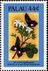 Colnect-3477-995-Dira-amartal-sweet-orange.jpg