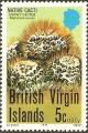 Colnect-2026-489-Mammillaria-nivosa.jpg