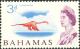 Colnect-4398-435-Caribbean-Flamingo-Phoenicopterus-ruber.jpg