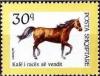 Colnect-1495-530-Native-Albanian-Horse-Equus-ferus-caballus.jpg