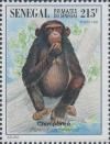 Colnect-2199-420-Chimpanzee-Pan-troglodytes.jpg