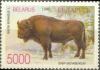 Colnect-2508-512-European-Bison-Bison-bonasus.jpg
