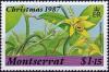 Colnect-3964-208-Vanilla-planifolia.jpg