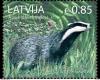 Colnect-4274-472-European-badger-Meles-meles.jpg