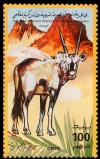 Colnect-4735-001-Arabian-Oryx-Oryx-leucoryx.jpg