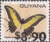 Colnect-4831-315-Papilio-androgeus-surchaged-890.jpg