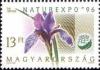 Colnect-574-268-Sibirean-Iris-Iris-sibirica.jpg