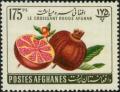 Colnect-1997-337-Pomegranate-Punica-granatum.jpg