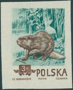 Colnect-4227-472-Eurasian-Beaver-Castor-fiber.jpg