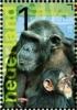 Colnect-1485-548-Chimpanzee-Pan-troglodytes.jpg