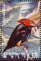 Colnect-2376-000-Red-capped-Manakin-Ceratopipra-mentalis.jpg