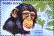 Colnect-3655-284-Chimpanzee-Pan-troglodytes.jpg
