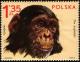 Colnect-3794-153-Chimpanzee-Pan-troglodytes.jpg